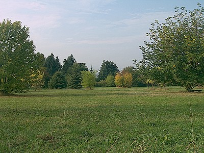 Botanischer Garten Göttingen