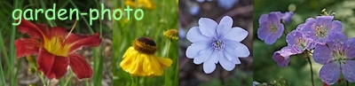 www.garden-photo.com