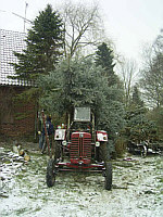Traktorendachbegr&uuml;nung
