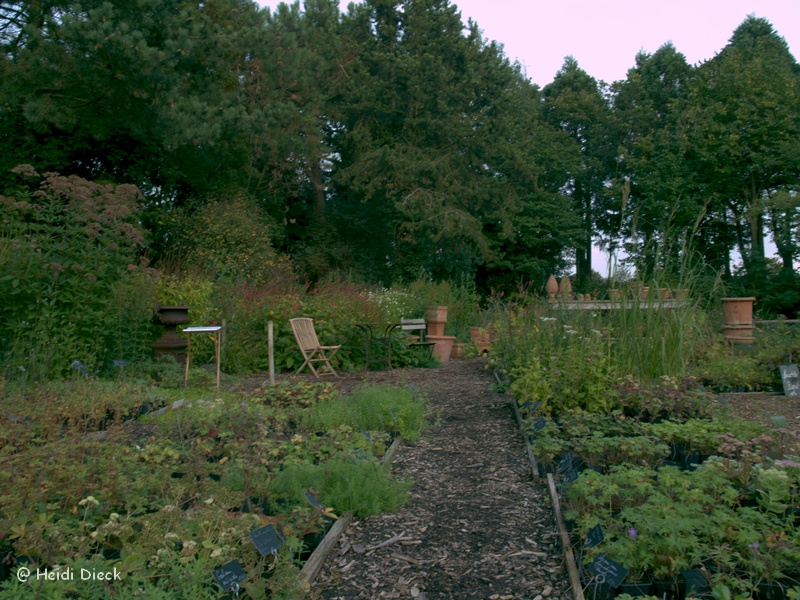 Staudengärtnerei Diamant