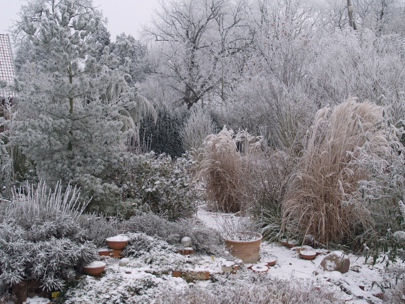 Unser Garten im Winter